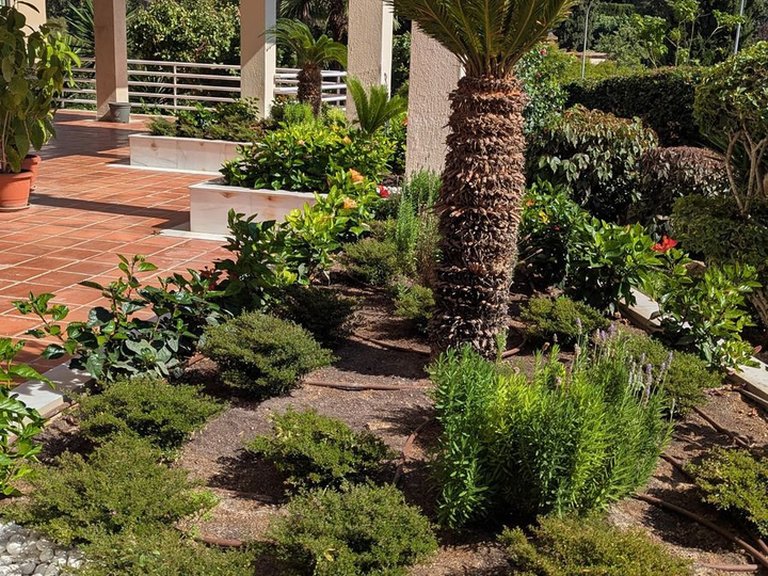 Apartment for Sale in Limonar, Malaga 33
