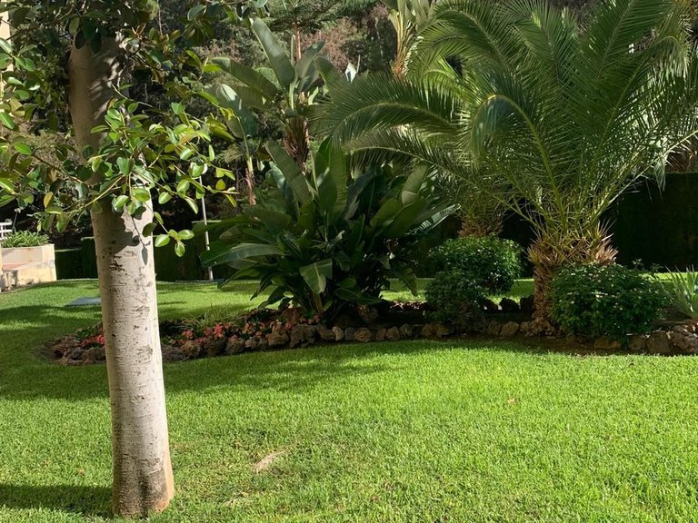 Apartment for Sale in Limonar, Malaga 34