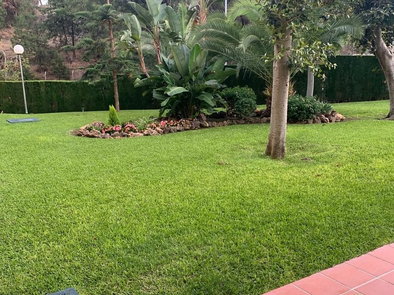 Apartment for Sale in Limonar, Malaga 37