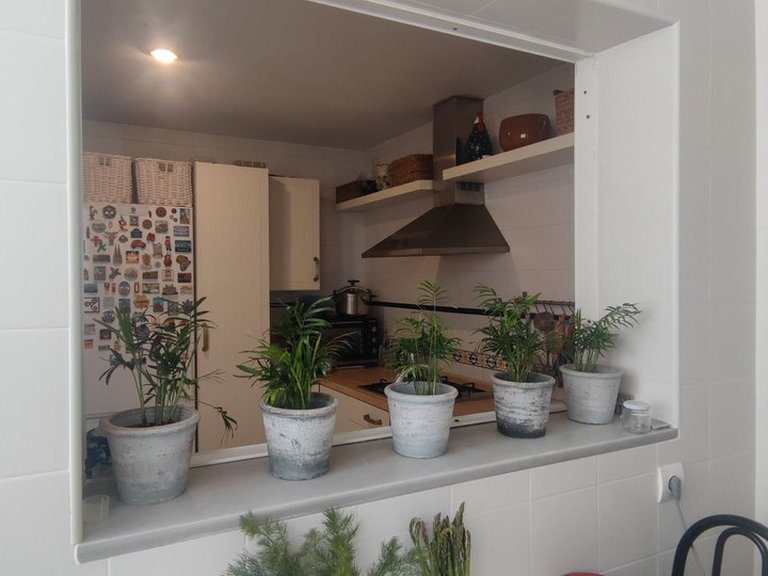 Apartment for Sale in Limonar, Malaga 8