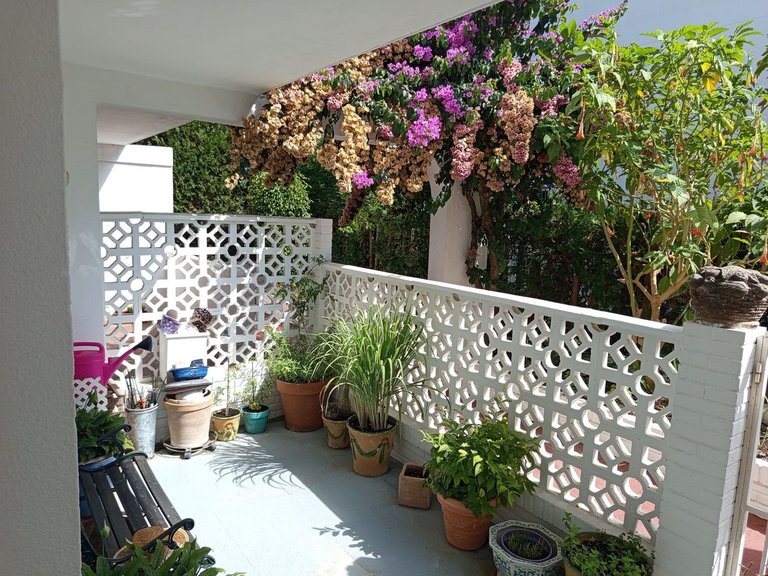 Villa for Sale in Nagüeles, Malaga 10
