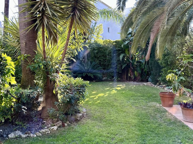 Villa for Sale in Estepona, Malaga 11