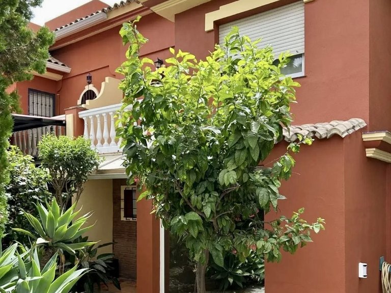 Villa for Sale in Estepona, Malaga 5