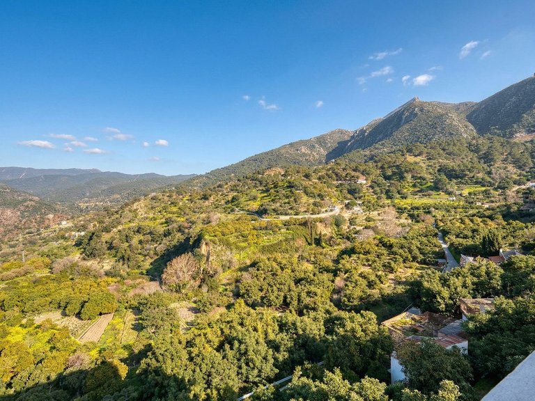 Villa for Sale in Istán, Malaga 34