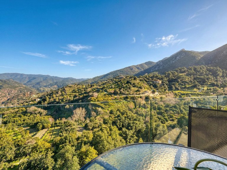 Villa for Sale in Istán, Malaga 40
