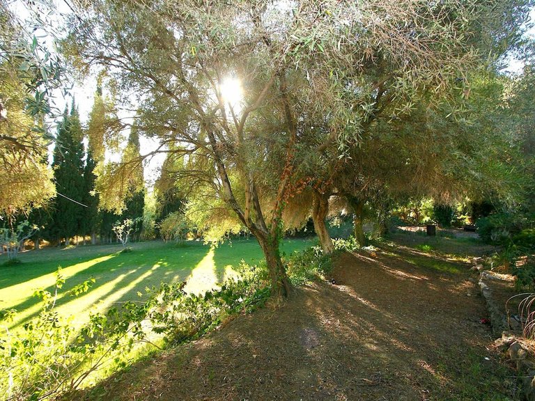 Plot for Sale in Costa del Sol Mijas, Malaga 1