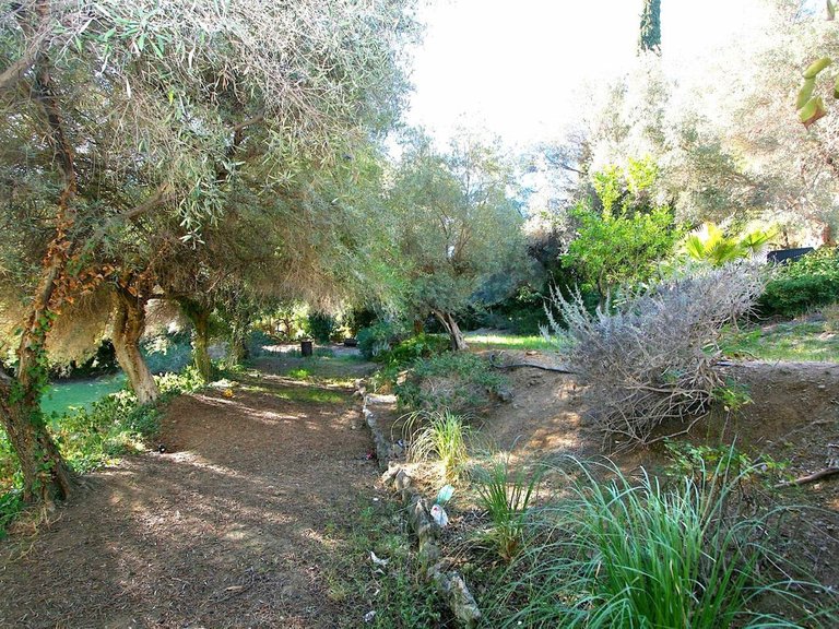 Plot for Sale in Costa del Sol Mijas, Malaga 2
