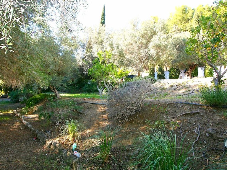 Plot for Sale in Costa del Sol Mijas, Malaga 3
