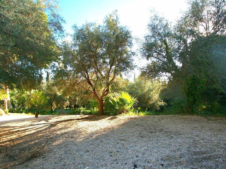 Plot for Sale in Costa del Sol Mijas, Malaga 4