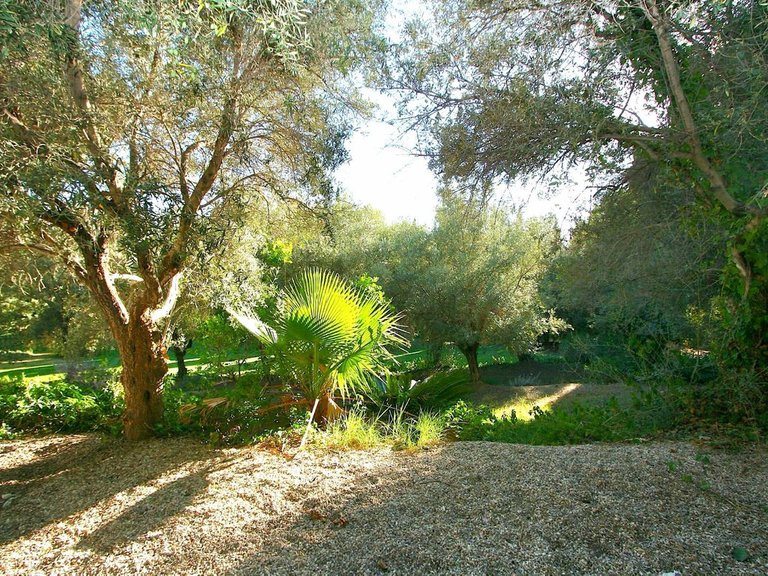 Plot for Sale in Costa del Sol Mijas, Malaga 5