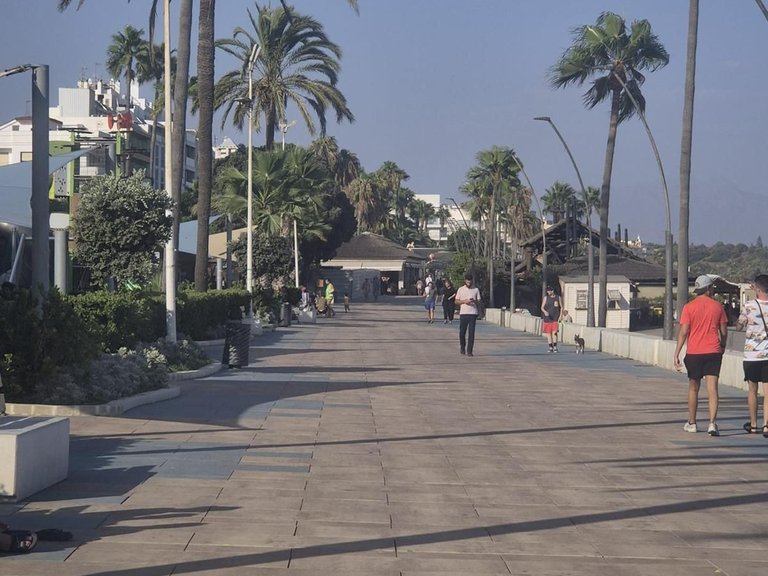 Apartment for Sale in Estepona, Malaga 9