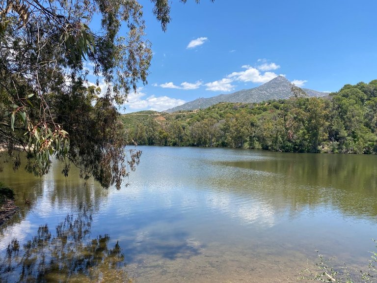 Town House for Sale in Nueva Andalucía, Malaga 12