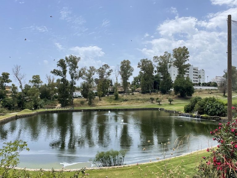 Apartment for Sale in Guadalmina Alta, Malaga 3