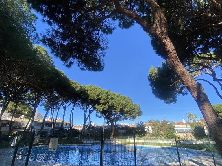 Apartment for Sale in Calypso, Malaga 25