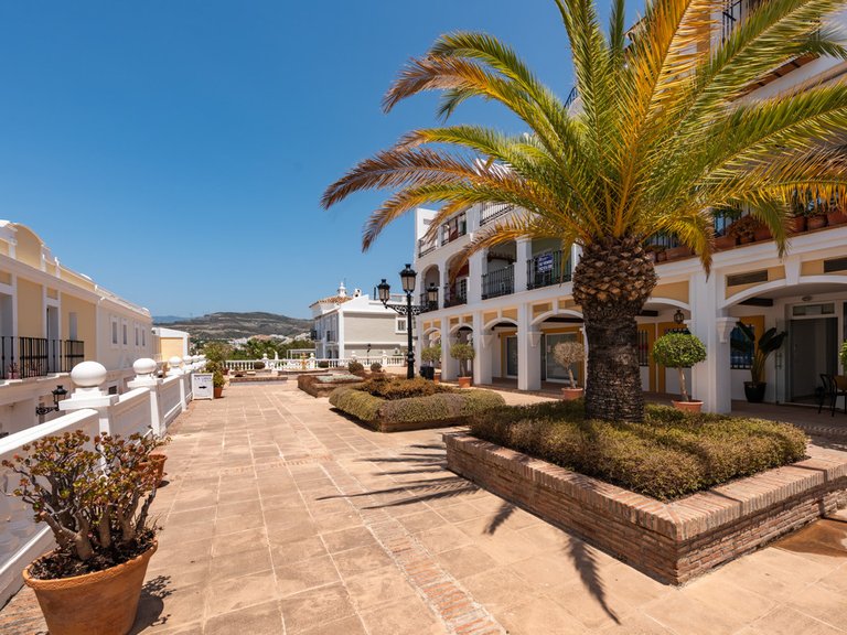 Villa for Sale in Nueva Andalucía, Malaga 14