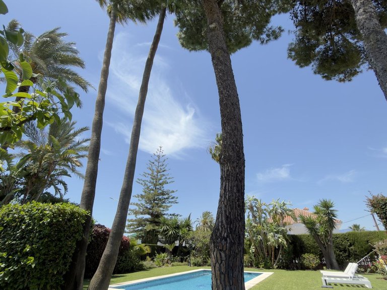 Villa for Sale in San Pedro De Alcántara, Malaga 6