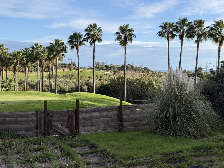Villa for Sale in Estepona, Malaga 9