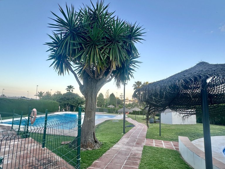 Apartment for Sale in La Cala De Mijas, Malaga 38