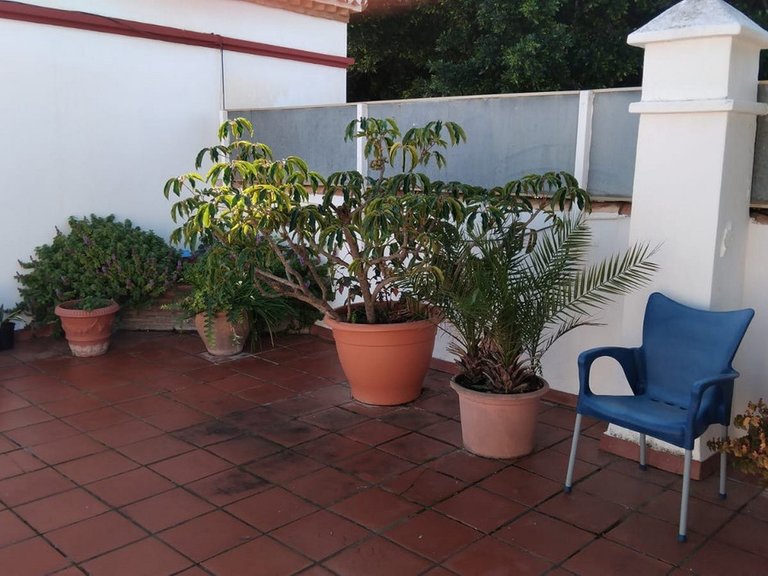 Commercial for Sale in El Paraiso, Malaga 37