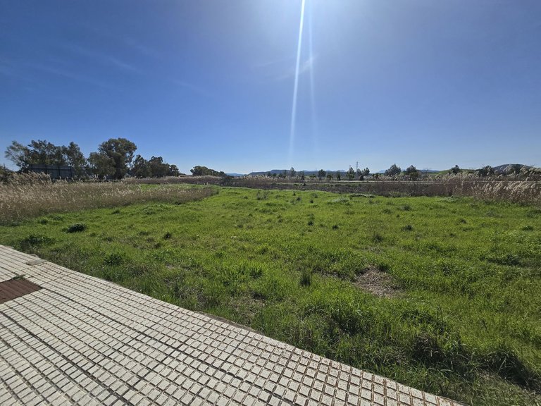 Plot for Sale in Costa del Sol, Campillos, Malaga 13