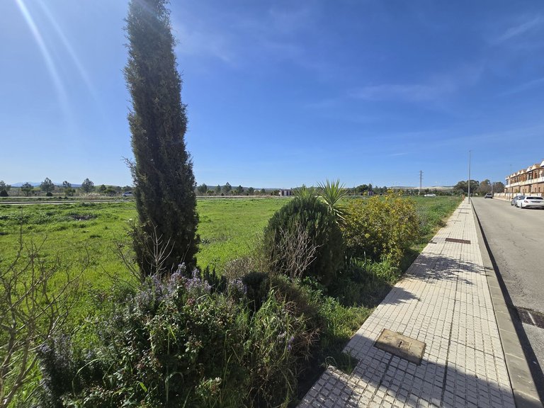 Plot for Sale in Costa del Sol, Campillos, Malaga 14