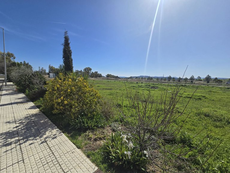 Plot for Sale in Costa del Sol, Campillos, Malaga 16