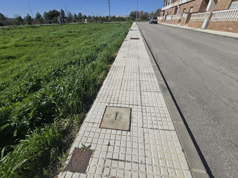 Plot for Sale in Costa del Sol, Campillos, Malaga 20