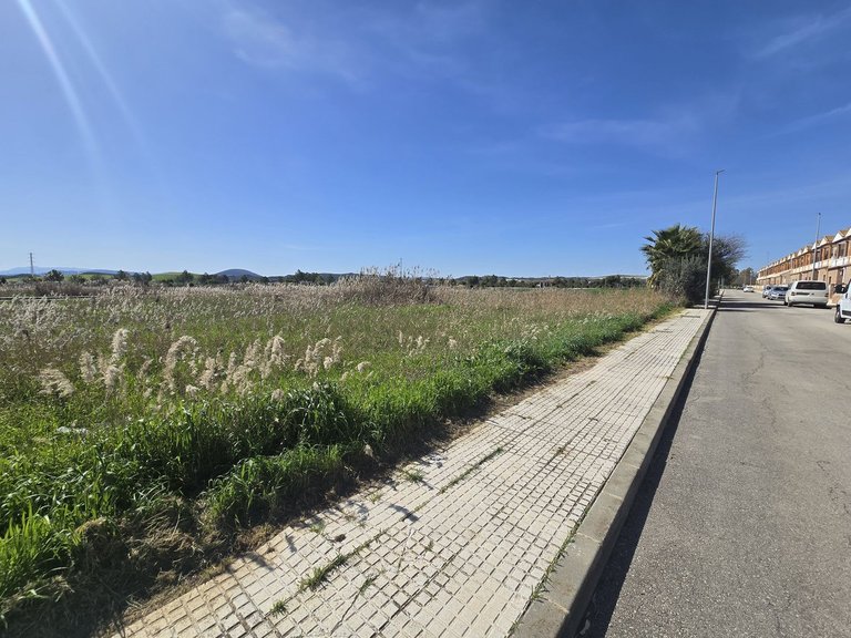 Plot for Sale in Costa del Sol, Campillos, Malaga 4