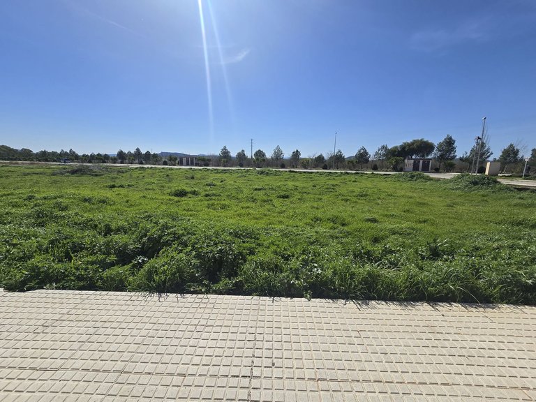 Plot for Sale in Costa del Sol, Campillos, Malaga 6