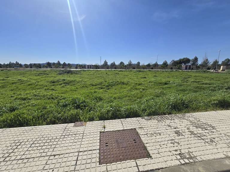 Plot for Sale in Costa del Sol, Campillos, Malaga 7