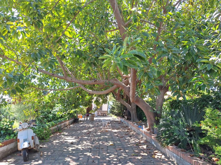 Villa for Sale in Estepona, Malaga 10