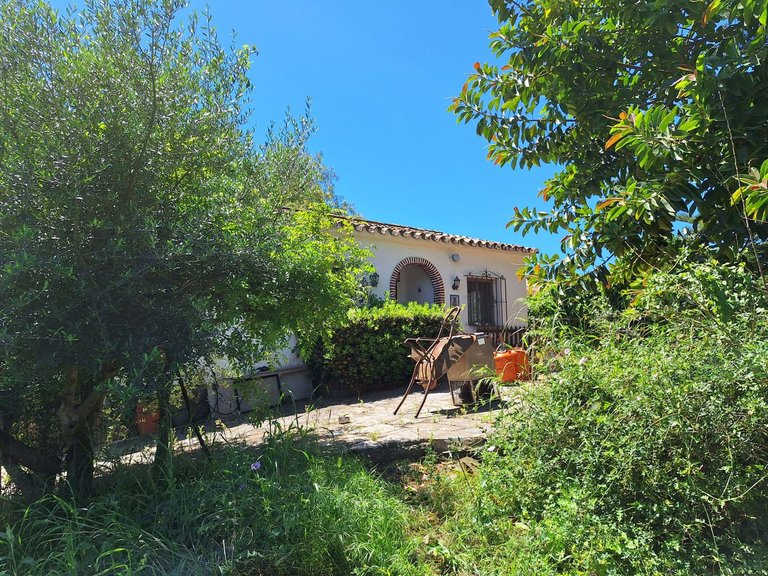 Villa for Sale in Estepona, Malaga 3