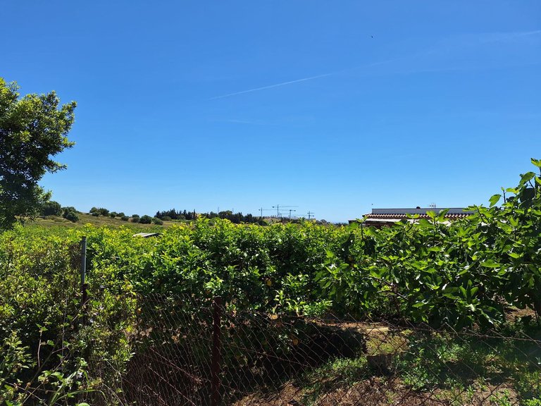 Villa for Sale in Estepona, Malaga 7