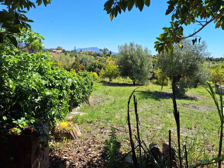 Villa for Sale in Estepona, Malaga 9