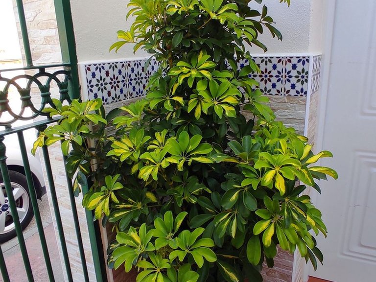 Villa for Sale in Coín, Malaga 44