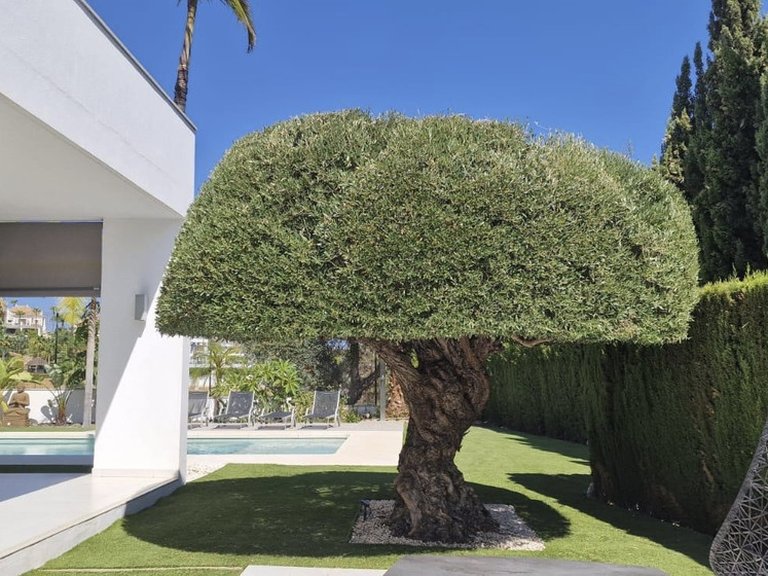 Villa for Sale in Nueva Andalucía, Malaga 34