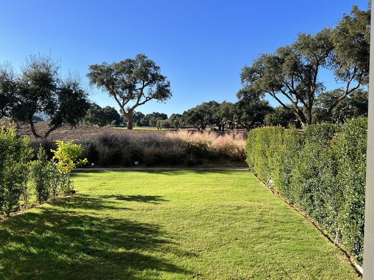 Villa for Sale in San Roque Club, Cadiz 5