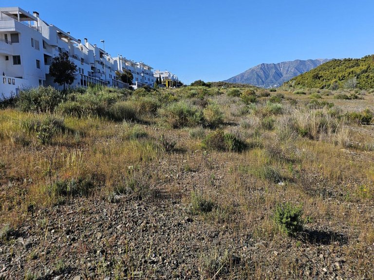 Plot for Sale in La Cala De Mijas, Malaga 2