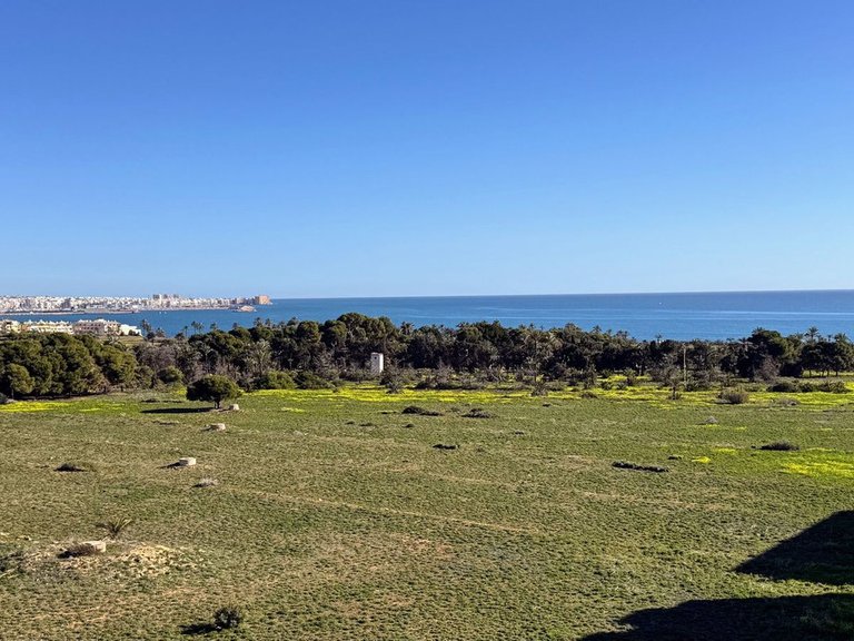 Apartment for Sale in Punta Prima, Alicante 28