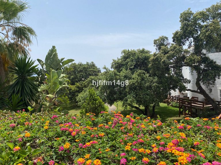 Villa for Sale in Reserva De Marbella, Malaga 22