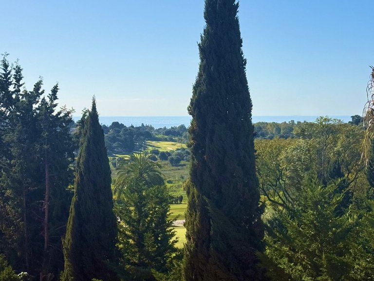 Apartment for Sale in Benahavís, Malaga 7
