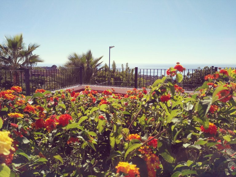 Villa for Sale in Manilva, Malaga 48