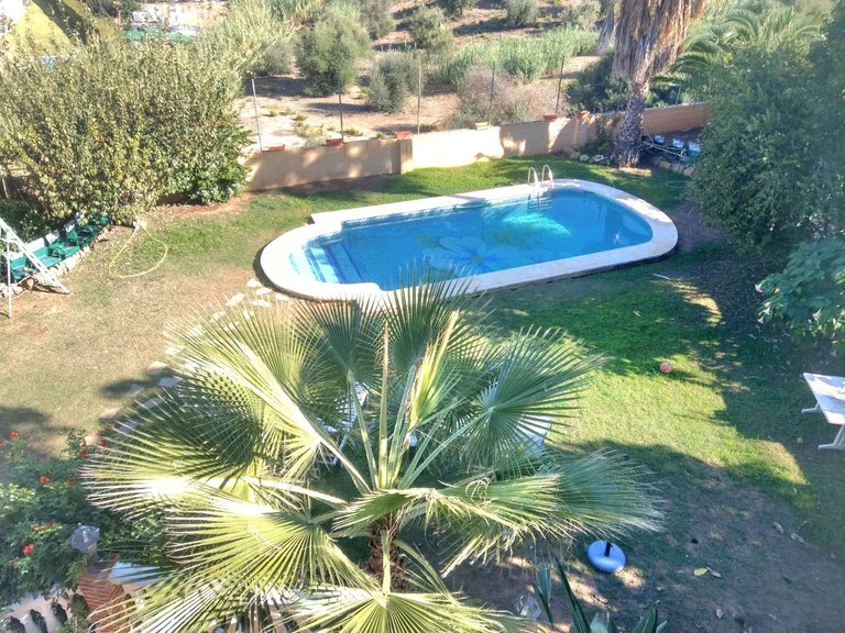 Villa for Sale in Sierrezuela, Malaga 32
