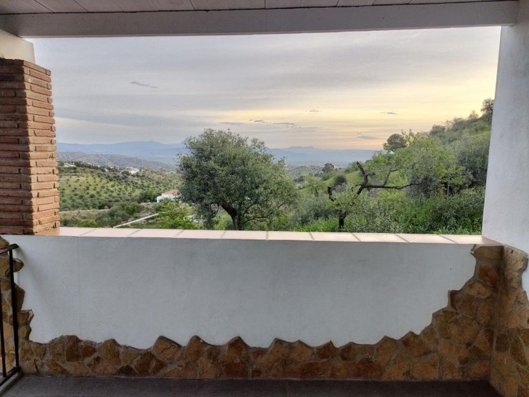 Villa for Sale in Coín, Malaga 34