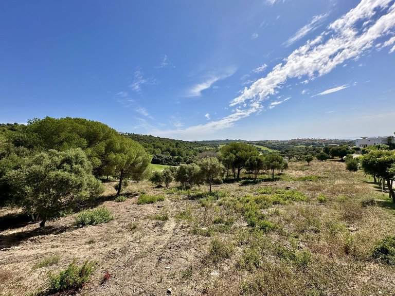 Plot for Sale in Sotogrande, Cadiz 8