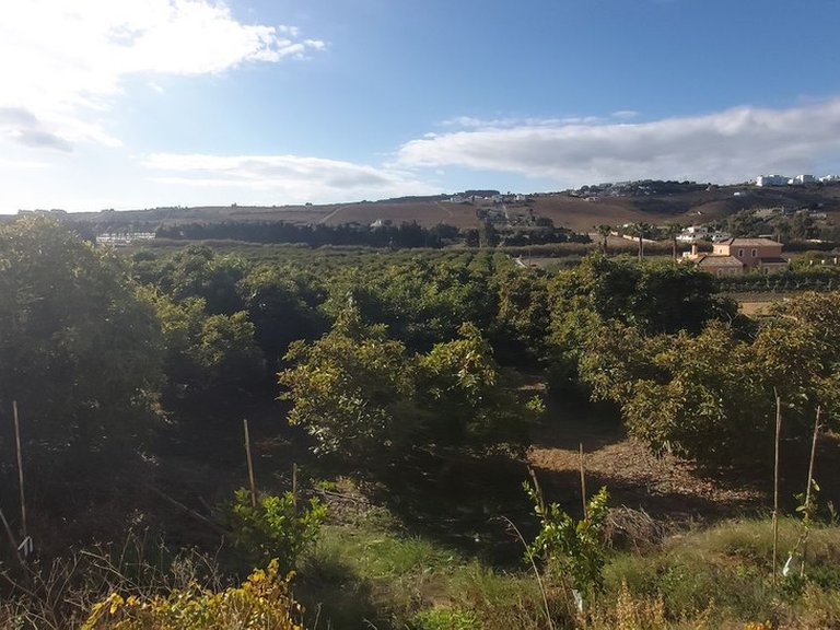 Plot for Sale in Estepona, Malaga 1