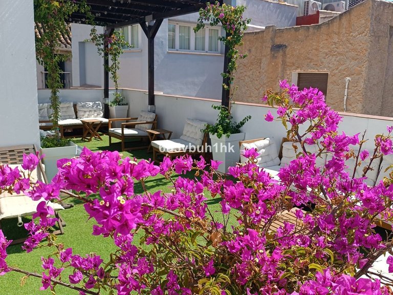 Villa for Sale in Málaga, Malaga 2