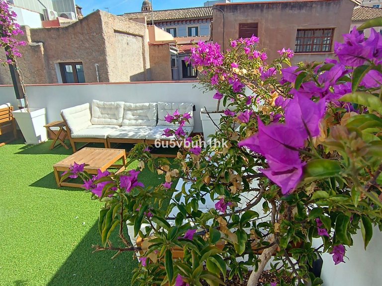 Villa for Sale in Málaga, Malaga 26