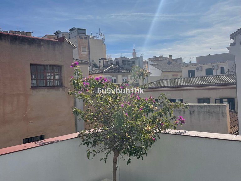 Villa for Sale in Málaga, Malaga 33