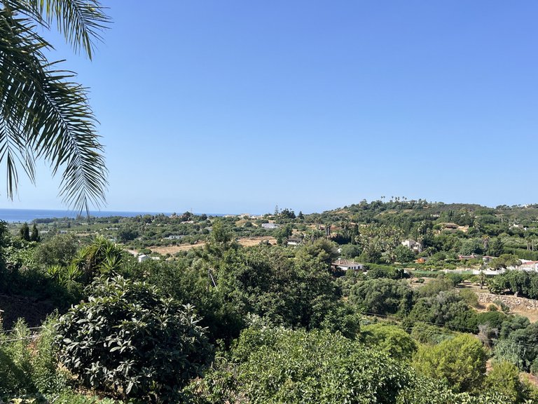 Villa for Sale in Estepona, Malaga 11